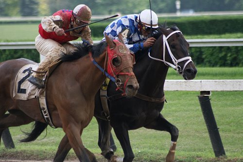 OTTB Success Stories