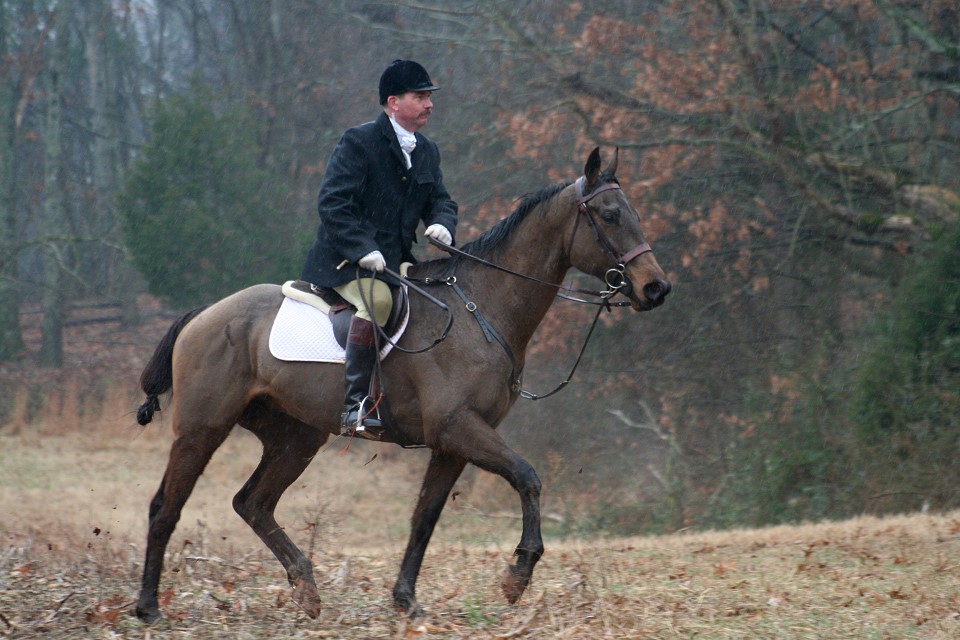 Rap It Up fox hunting just four months off-the-track